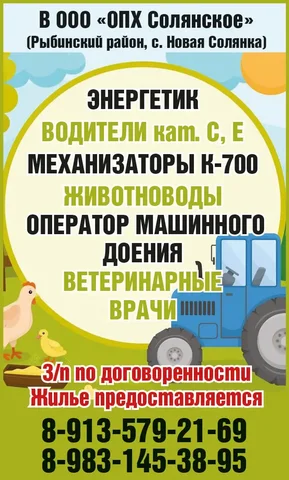 Вакансии в ООО «ОПХ Солянское» - частное объявление в Новая Солянка
