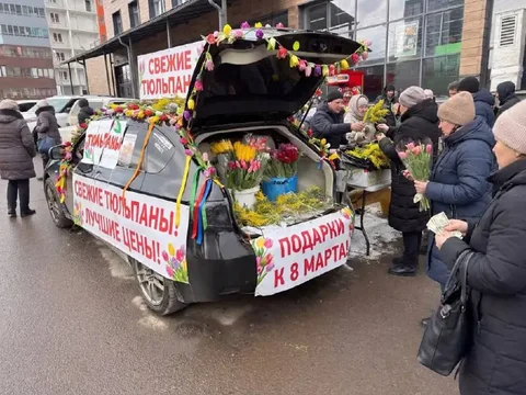 Продажа тюльпанов и мимозы на парковке ТЦ Рябина - Садоводство и комнатные растения в Красноярск