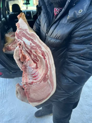 Свинина домашняя свежая с вет. контролем - Товары для животных в Красноярск