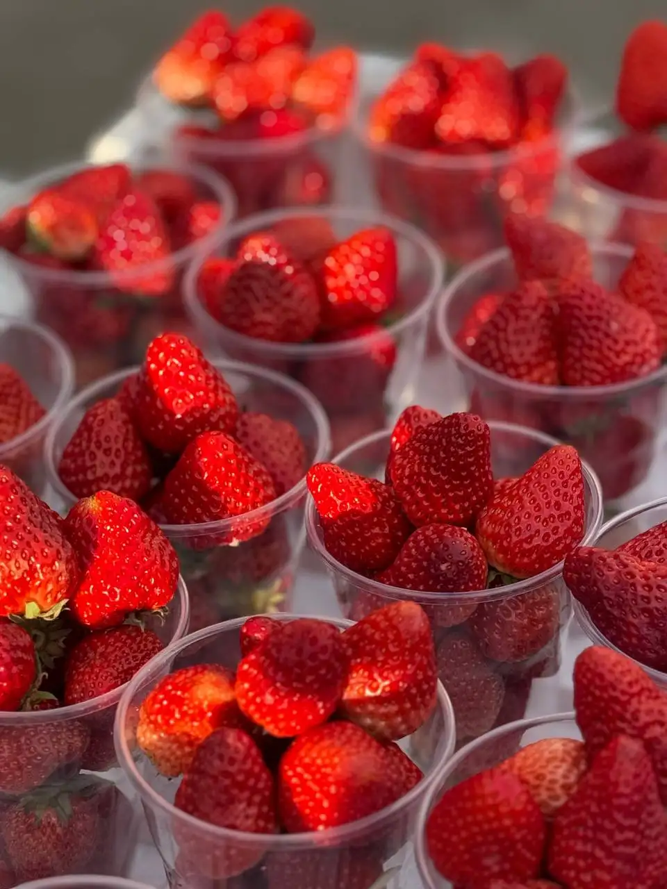 Продажа свежей клубники и сезонных товаров в Красноярске - Барахолка в Красноярск