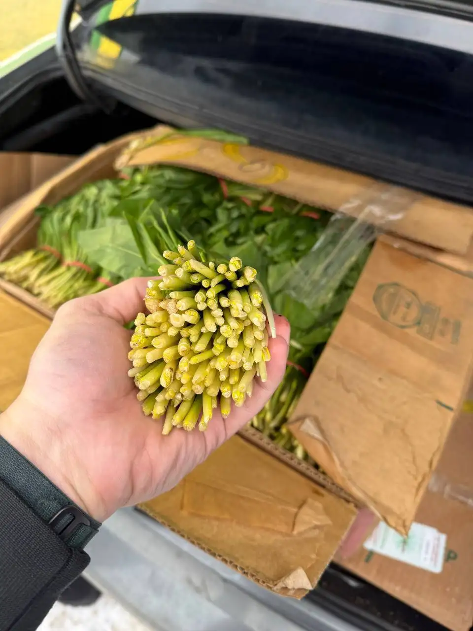 Продажа свежей клубники и сезонных товаров в Красноярске - Барахолка в Красноярск