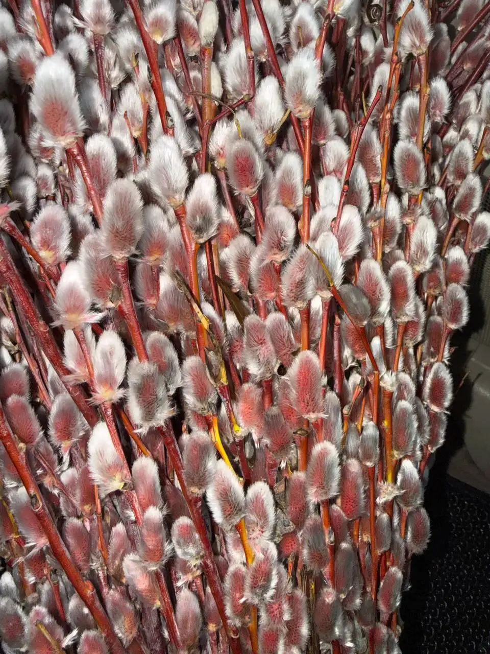 Продажа свежей клубники и сезонных товаров в Красноярске - Барахолка в Красноярск