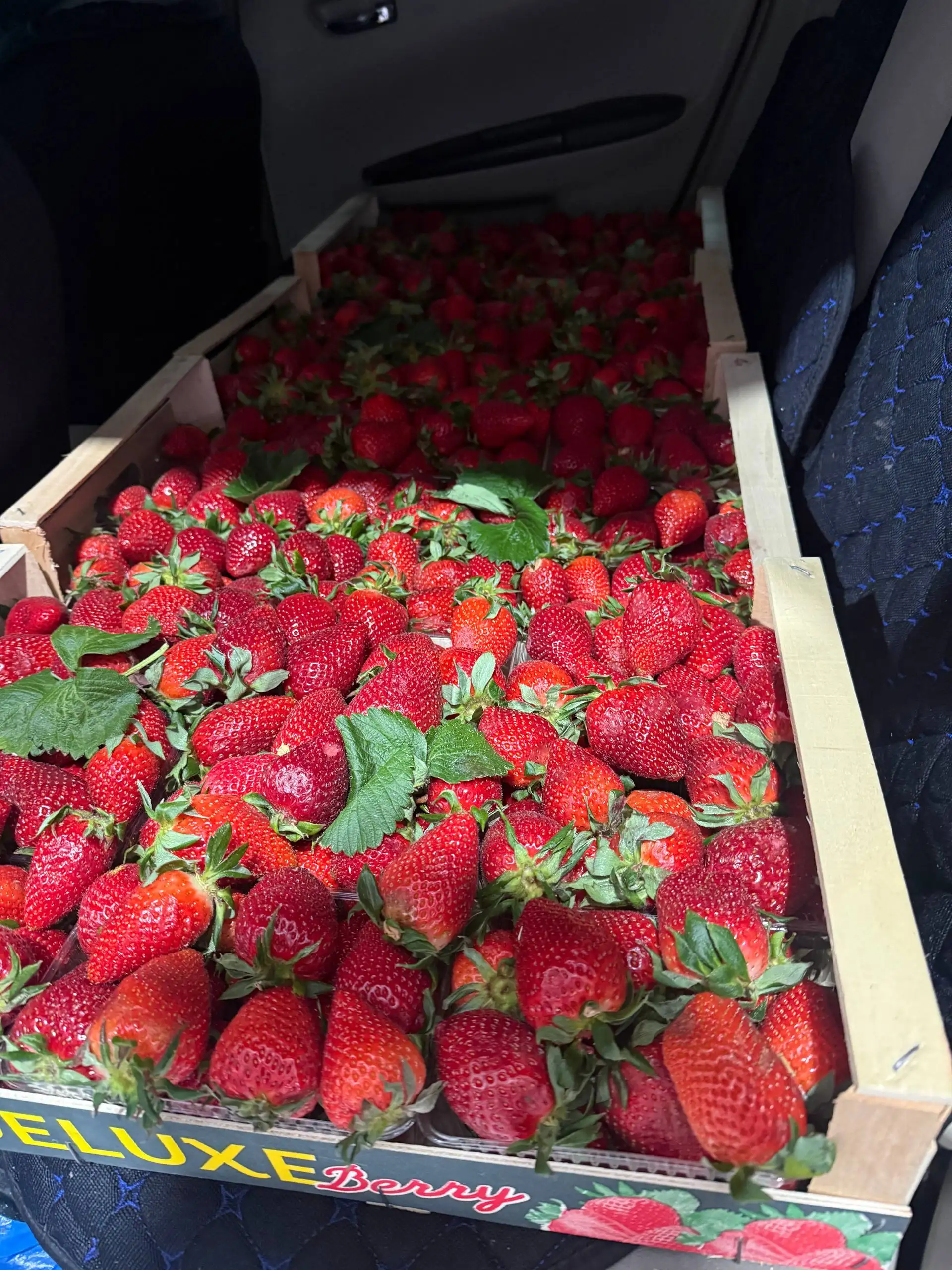 Продажа черешни, клубники и другой продукции - Барахолка в Красноярск