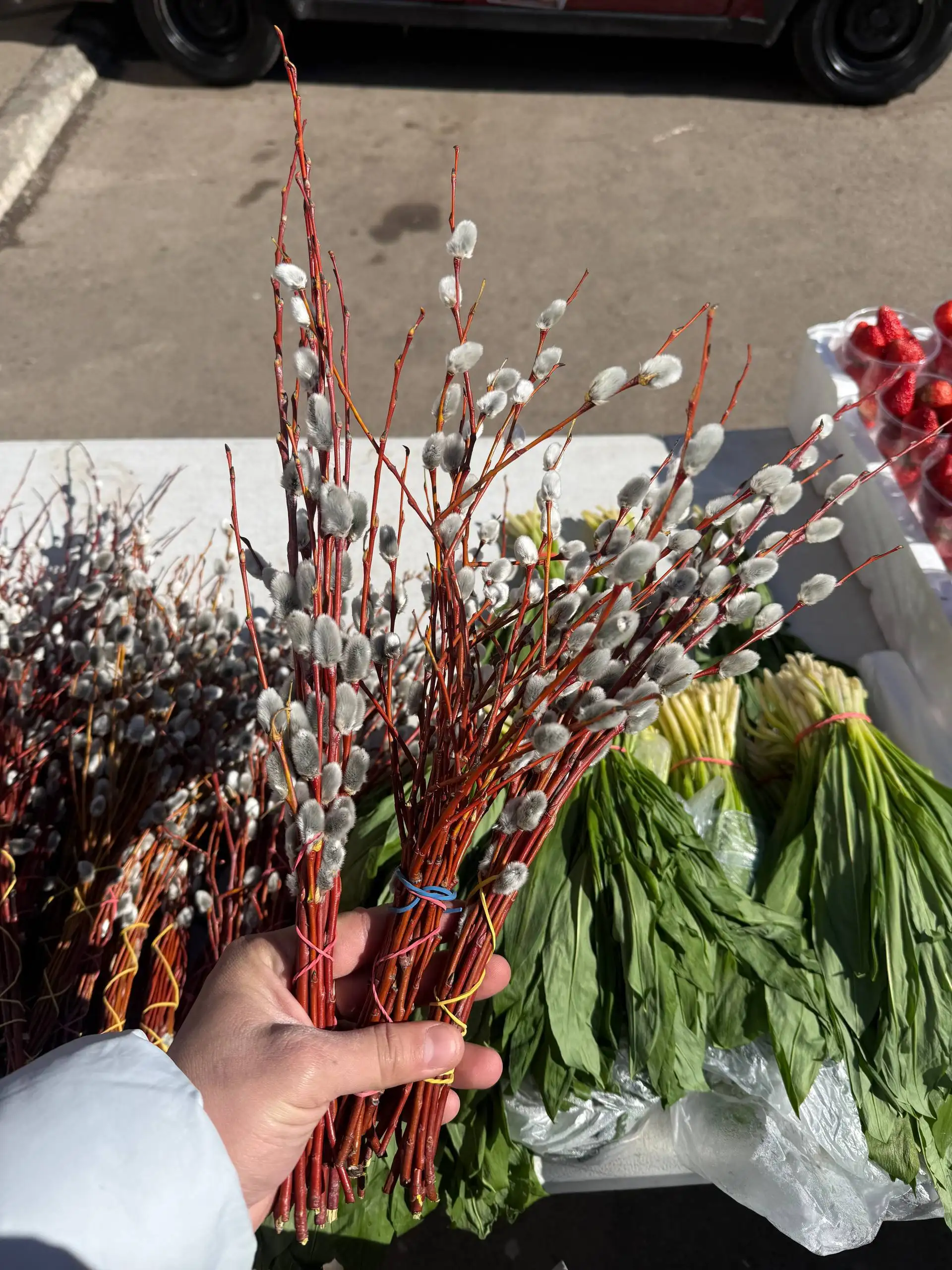 Продажа черешни, клубники и другой продукции - Барахолка в Красноярск