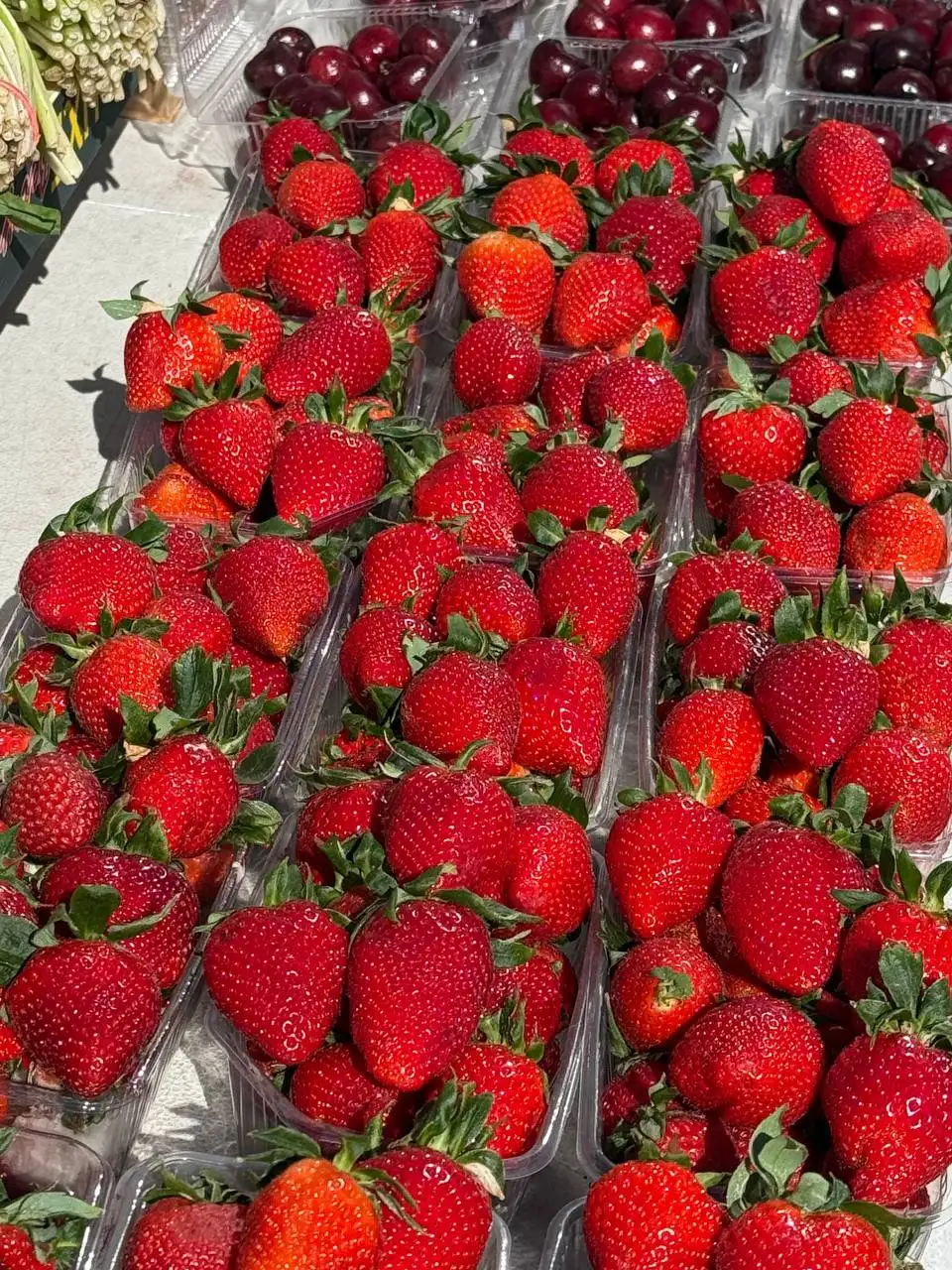Продажа свежей клубники, черешни и черемши - Продукты питания (Барахолка) в Краснодар