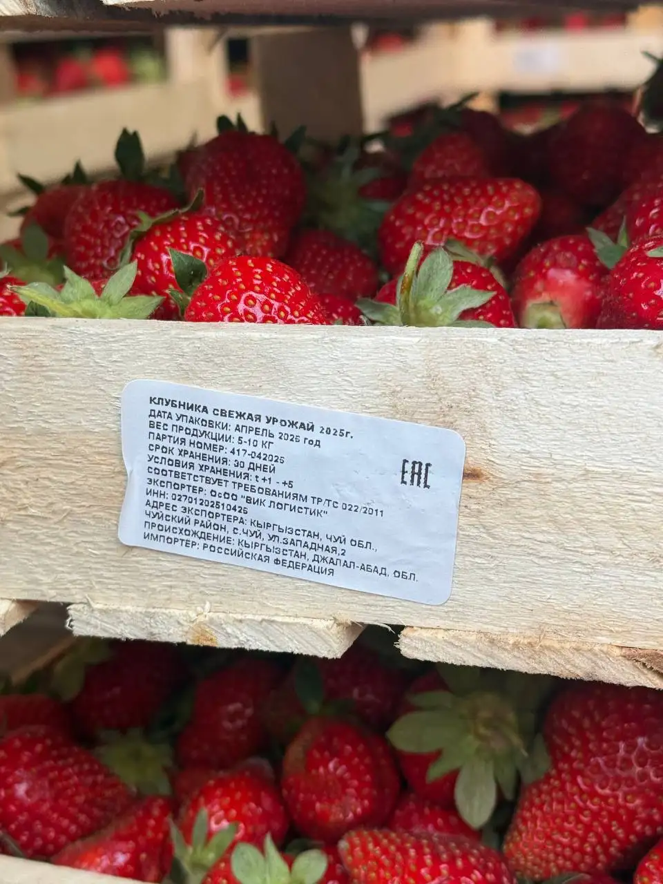 Свежие ягоды из Киргизии - Продукты (Барахолка) в Красноярск