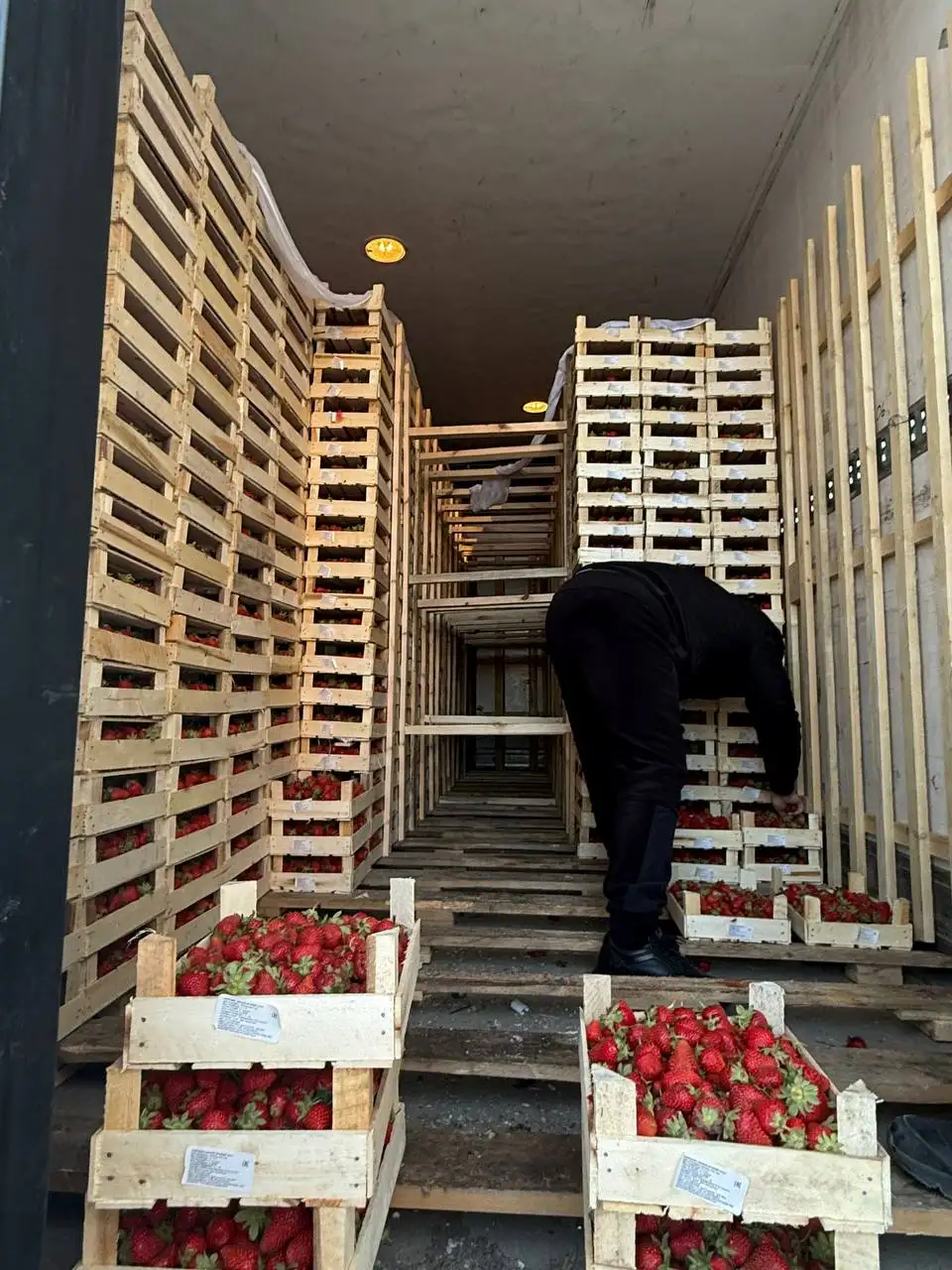 Свежие ягоды из Киргизии - Продукты (Барахолка) в Красноярск