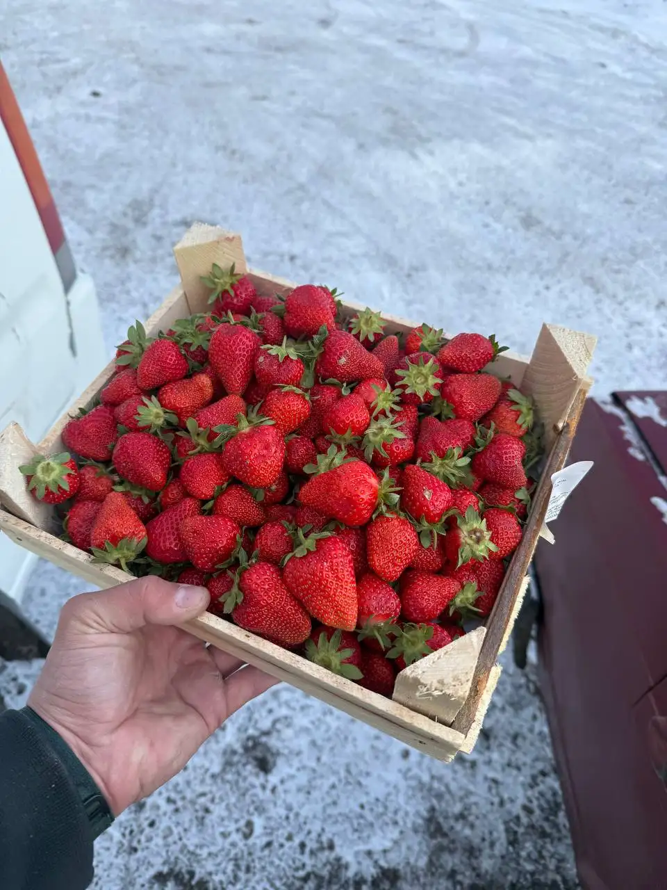 Продажа клубники из Киргизии - Продукты питания (Барахолка) в Красноярск