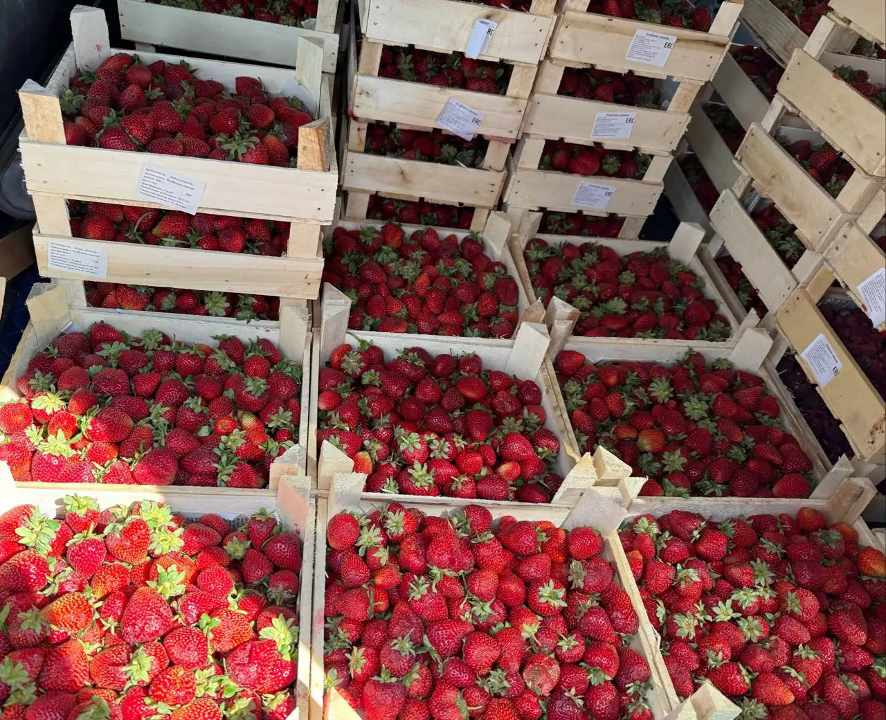 Свежая ягода из Киргизии в Красноярске - Продукты питания (Барахолка) в Красноярск