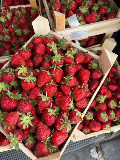 Свежая клубника и черемша с доставкой в Краснодар - Аудиооборудование в Краснодар