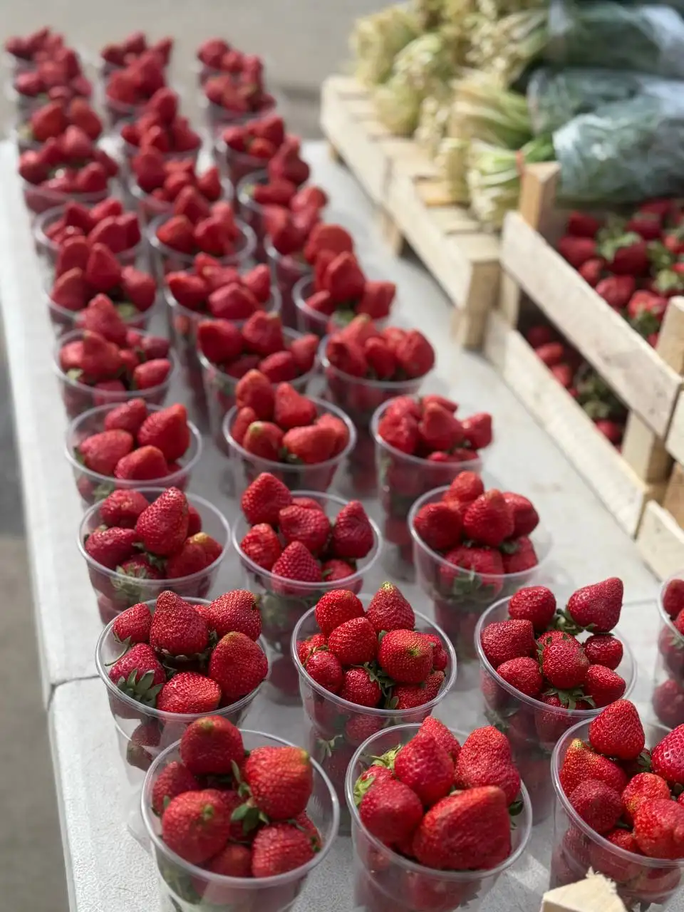 Свежая клубника и черемша с доставкой в Краснодар - Барахолка в Краснодар