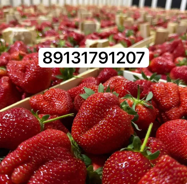 Клубника из Киргизии - Квадроциклы в Красноярск