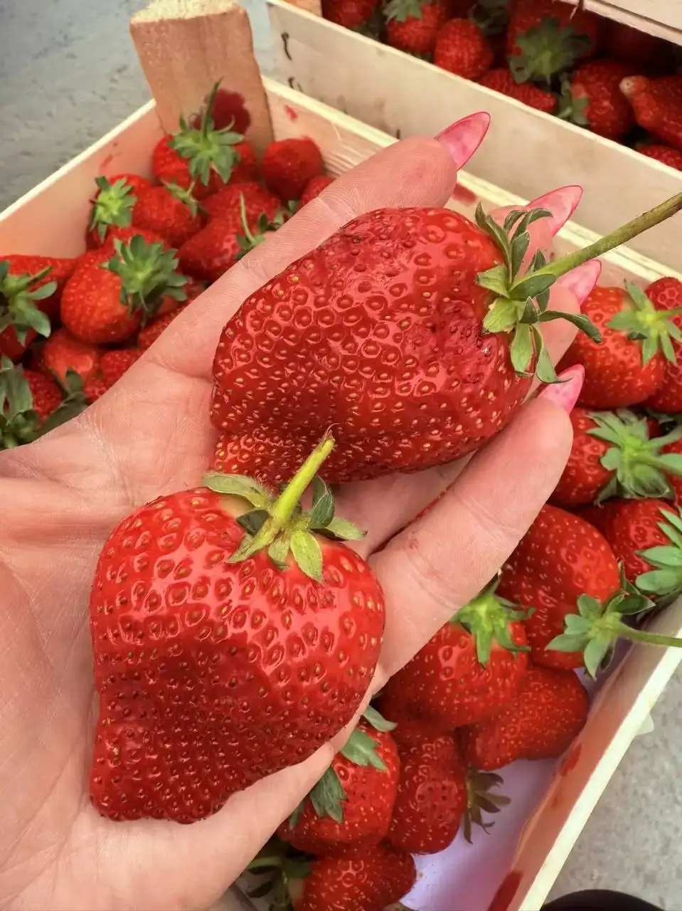 Клубника из Киргизии - Продукты питания (Барахолка) в Красноярск