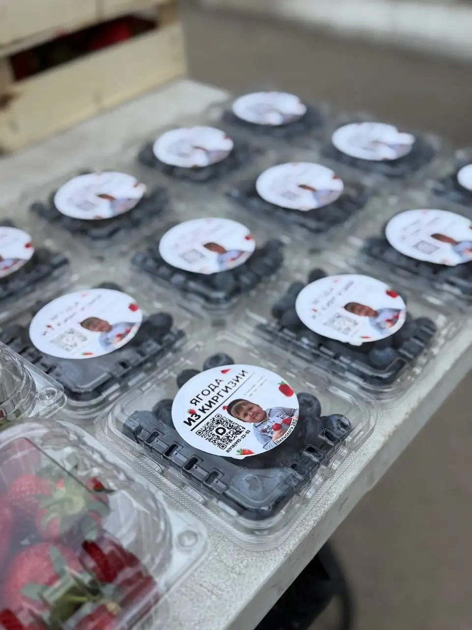 Продажа свежей ягоды и черемши в Краснодаре - Продукты питания (Барахолка) в Краснодар