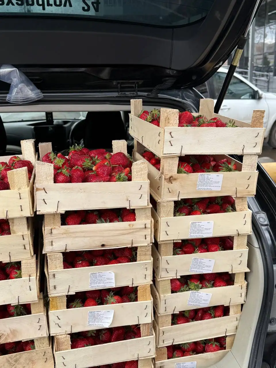 Продажа свежей клубники, голубики и черемши в Красноярске - Продукты питания (Барахолка) в Красноярск