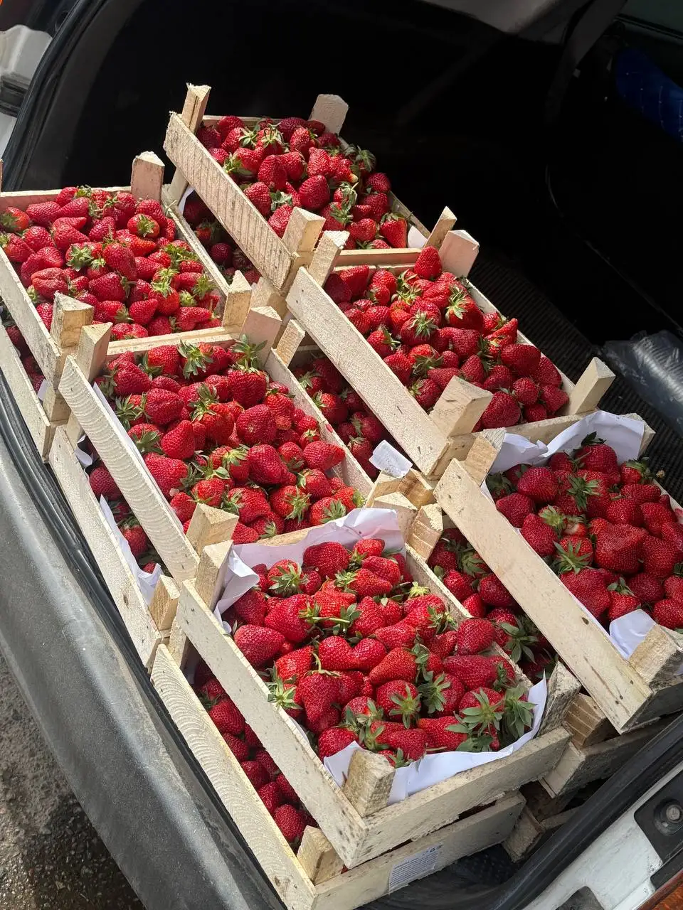 Продажа свежих ягод и зелени с доставкой на Вильского 28Д - Барахолка в Красноярск