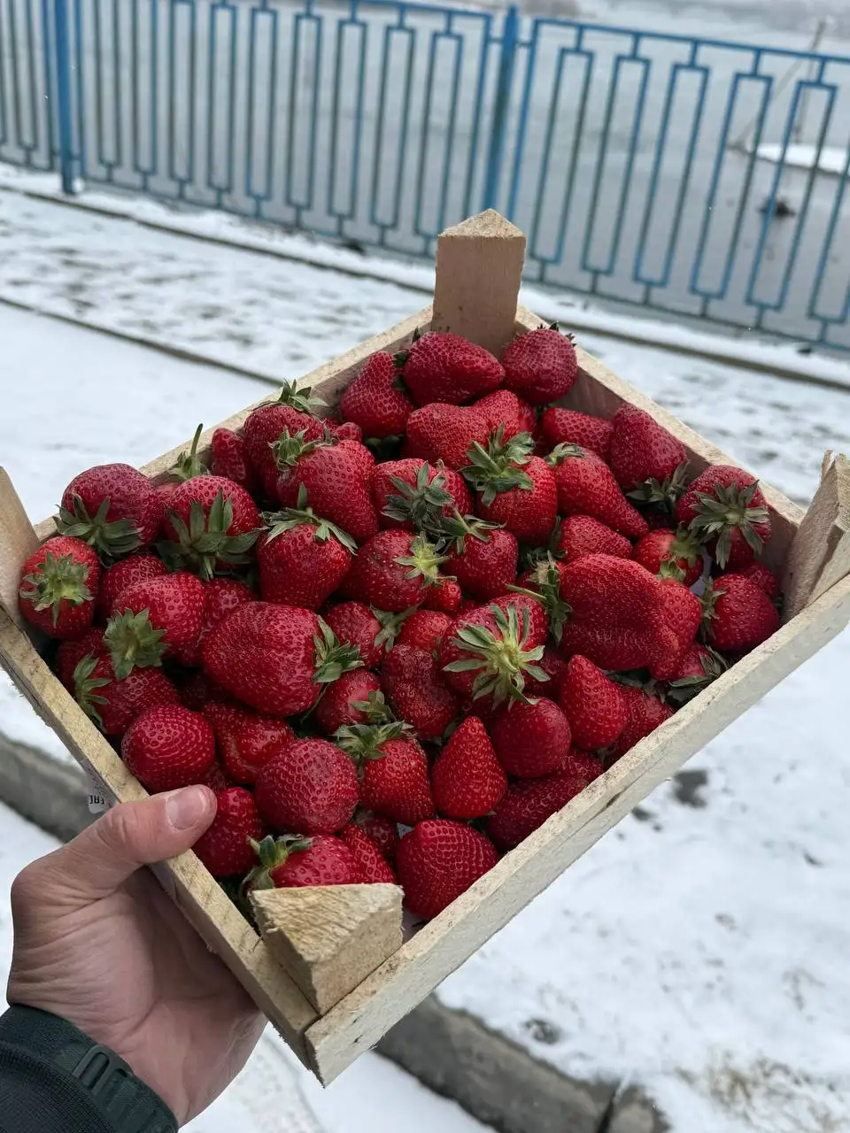 Свежие ягоды и черемша в Красноярске - Продукты питания (Барахолка) в Красноярск