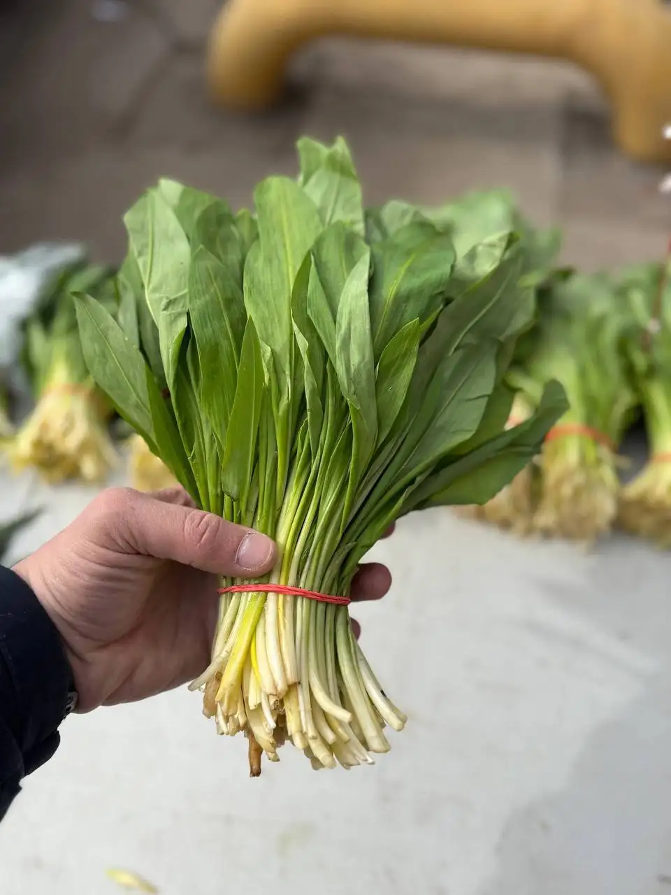 Свежие ягоды и черемша в Красноярске - Продукты питания (Барахолка) в Красноярск