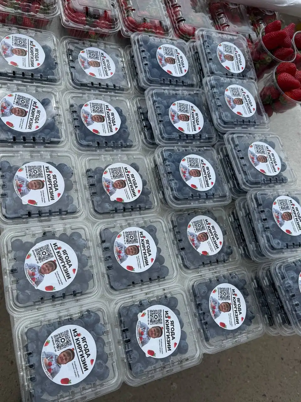 Свежие ягоды и черемша в Красноярске - Продукты питания (Барахолка) в Красноярск