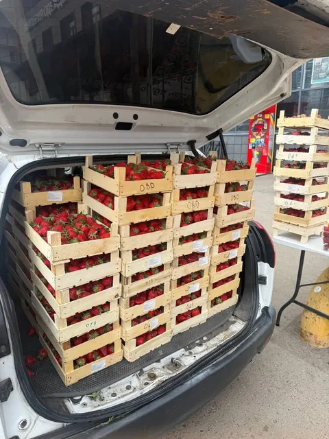 Продажа свежих ягод, манго и черемши - Фрукты и ягоды в Красноярск