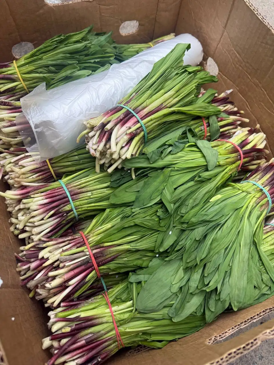 Продажа свежих ягод, манго и черемши - Фрукты и ягоды (Еда) в Красноярск