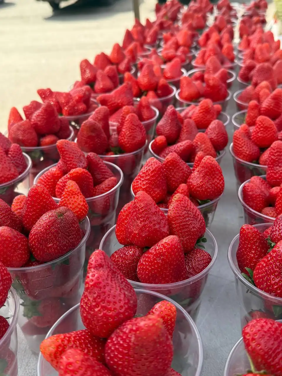 Продажа свежих ягод, манго и черемши - Фрукты и ягоды (Еда) в Красноярск