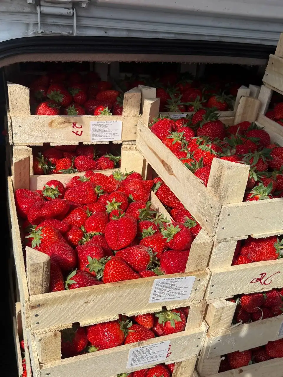 Продажа свежих ягод, манго и черемши - Фрукты и ягоды (Еда) в Красноярск