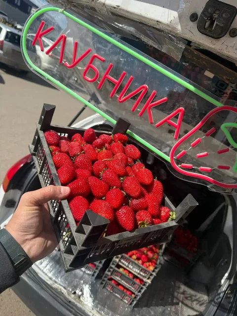 Продажа клубники из Киргизии - Алкогольные напитки в Красноярск