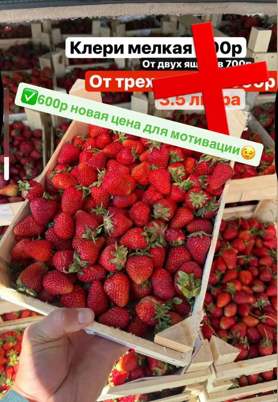 Червяк в клубнике - Товары для кухни в Красноярск