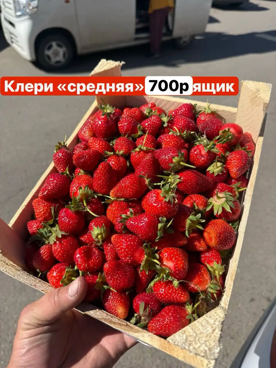 Сезонные ягоды и арбузы - частное объявление в Красноярск