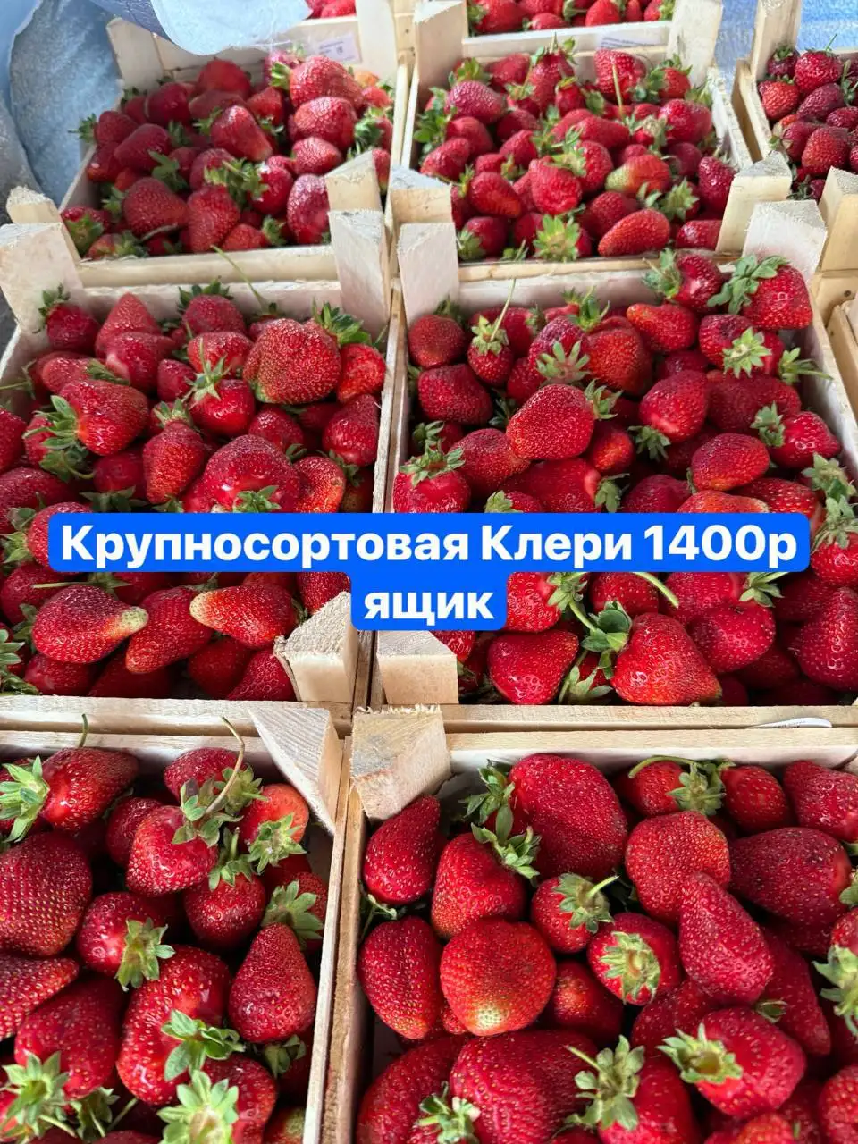 Свежие ягоды: ежевика, клубника, черешня - частное объявление в Красноярск
