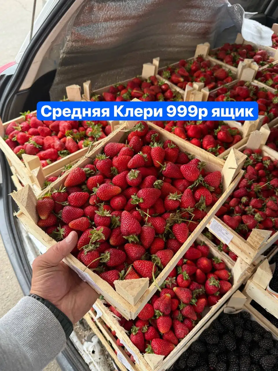 Свежие ягоды: ежевика, клубника, черешня - Продукты в Красноярск