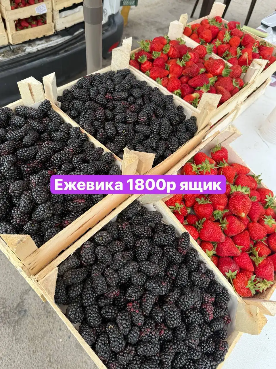 Свежие ягоды: ежевика, клубника, черешня - Продукты в Красноярск