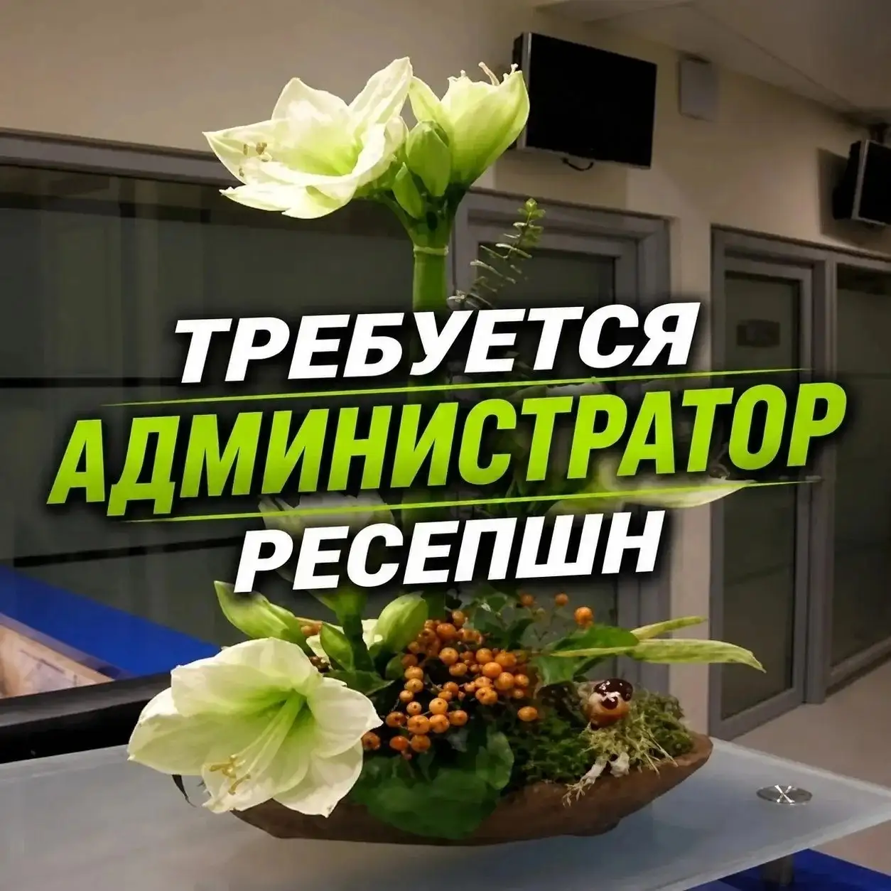 Вакансия: Дежурный на ресепшн - Администратор ресепшн (Работа) в Красноярск