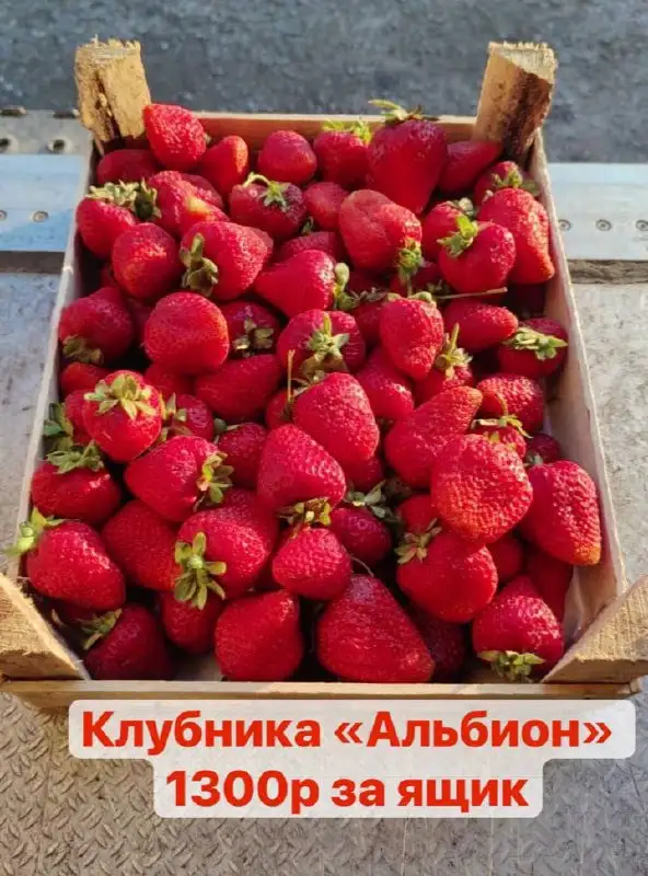 Свежие ягоды: клубника, черешня, ежевика, голубика - Продукты питания в Красноярск