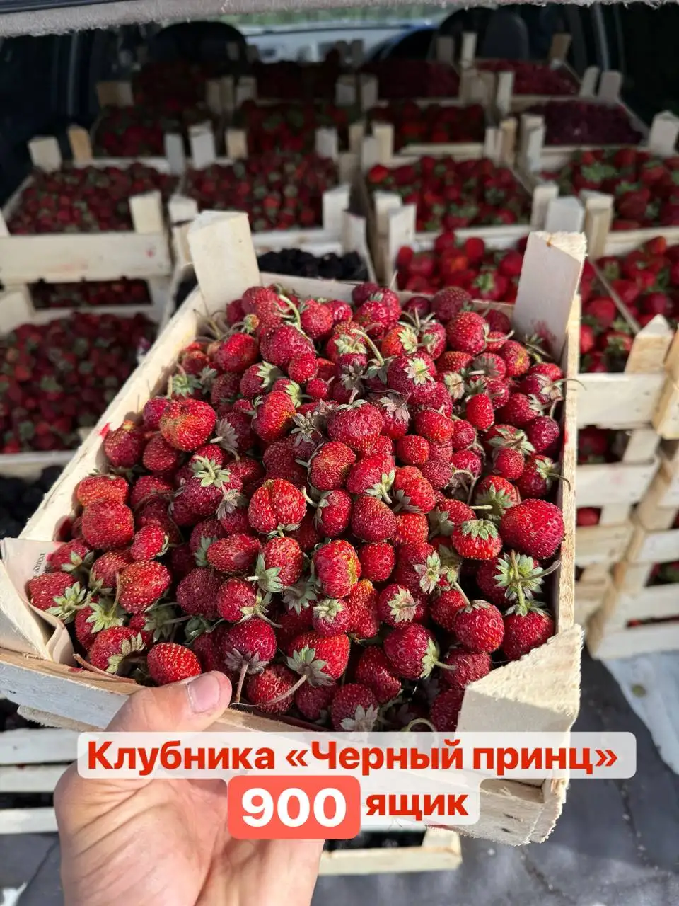 Свежие ягоды: клубника, черешня, ежевика, голубика - Продукты питания в Красноярск