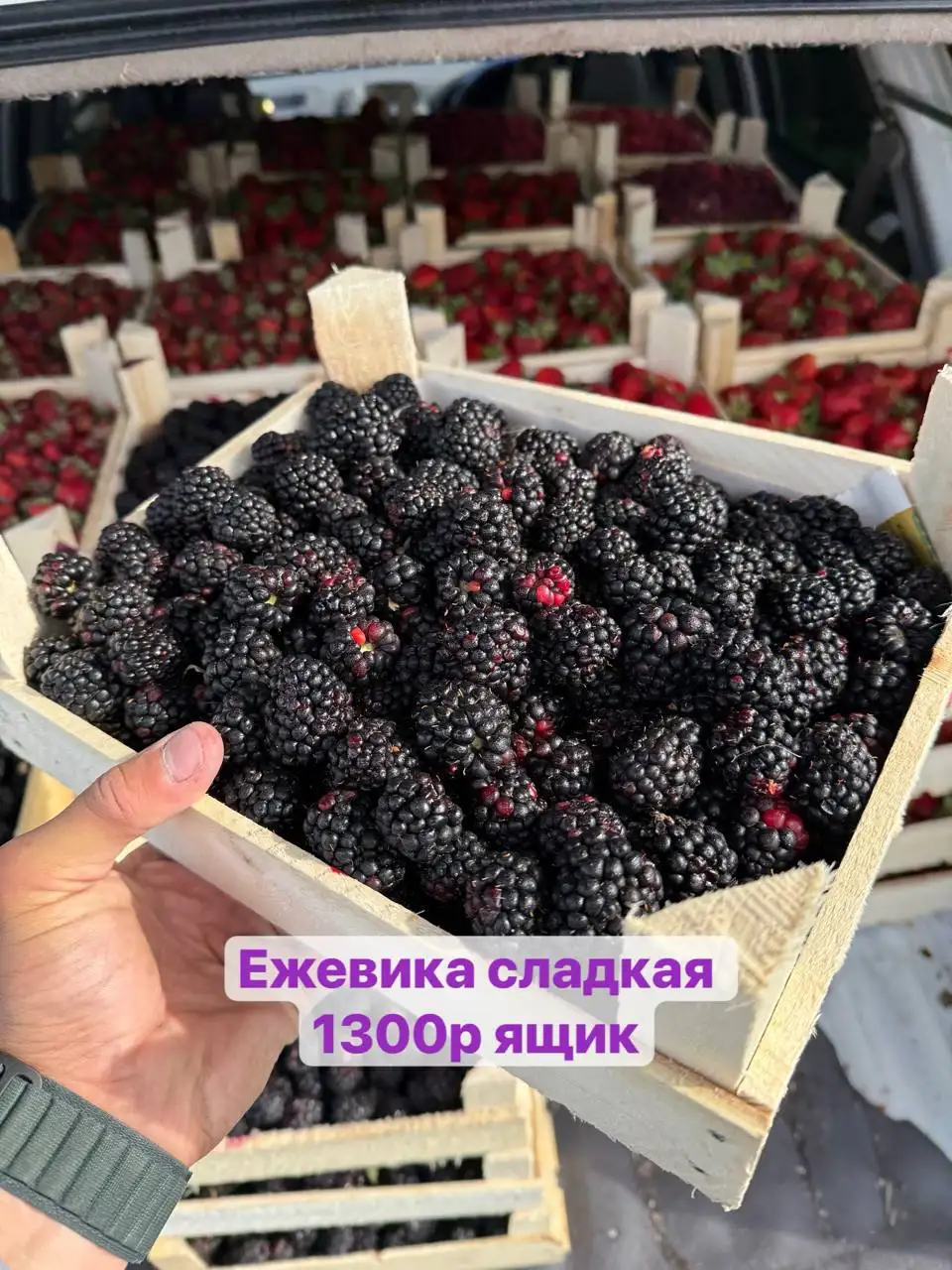 Свежие ягоды: клубника, черешня, ежевика, голубика - Продукты питания в Красноярск