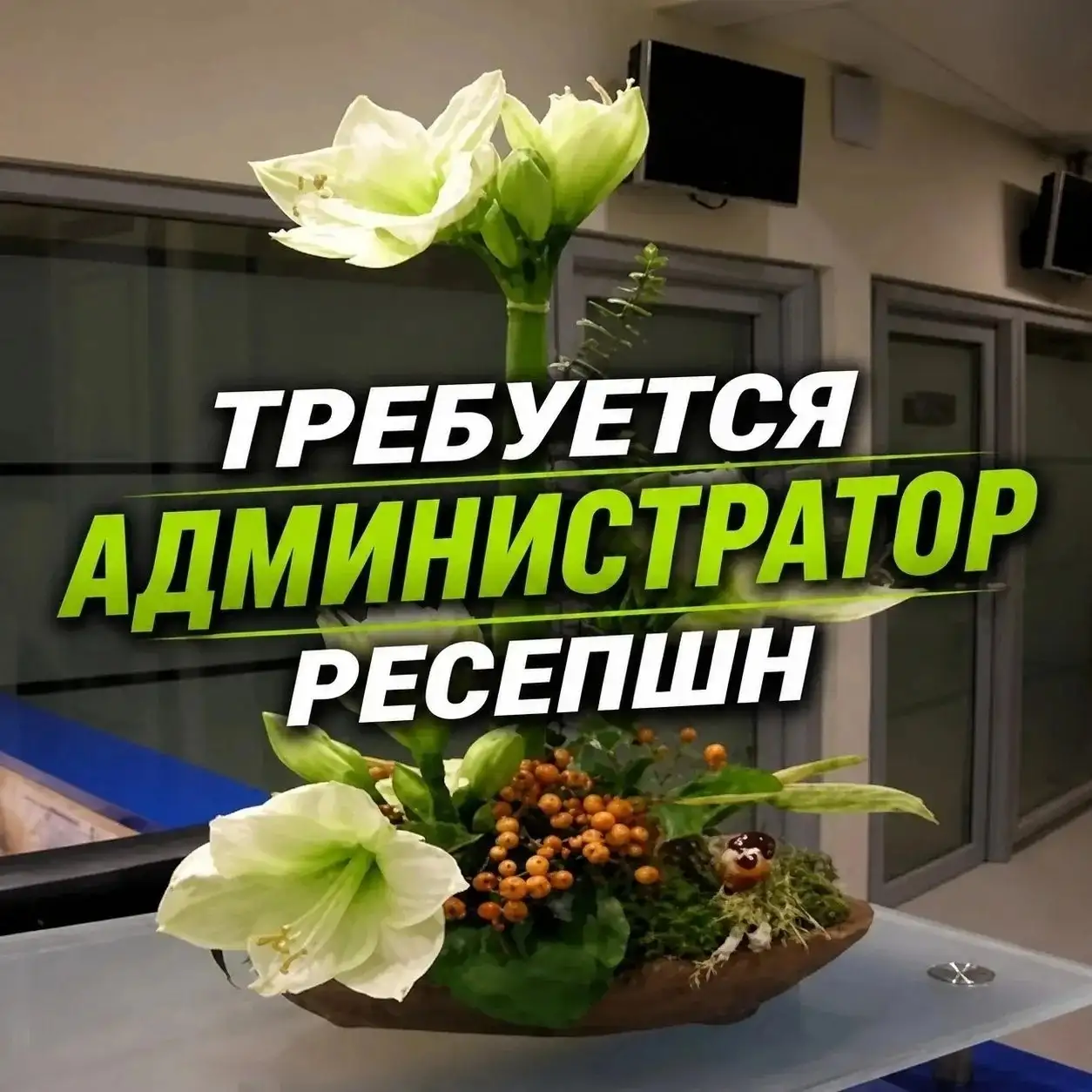 Вакансия дежурного на ресепшн - Администратор (Работа) в Красноярск