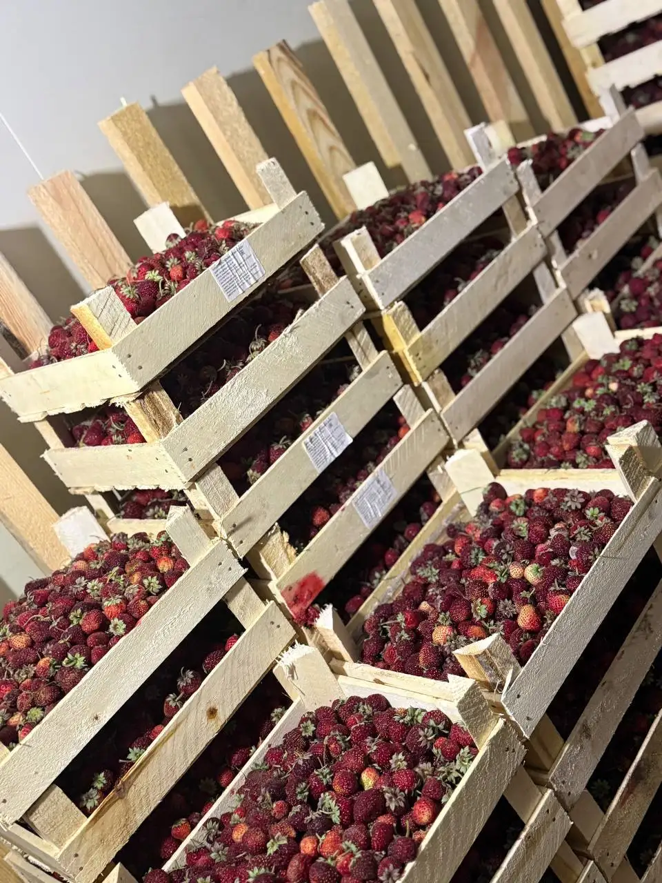 Ягоды и фрукты оптом - Продукты питания (Барахолка) в Красноярск