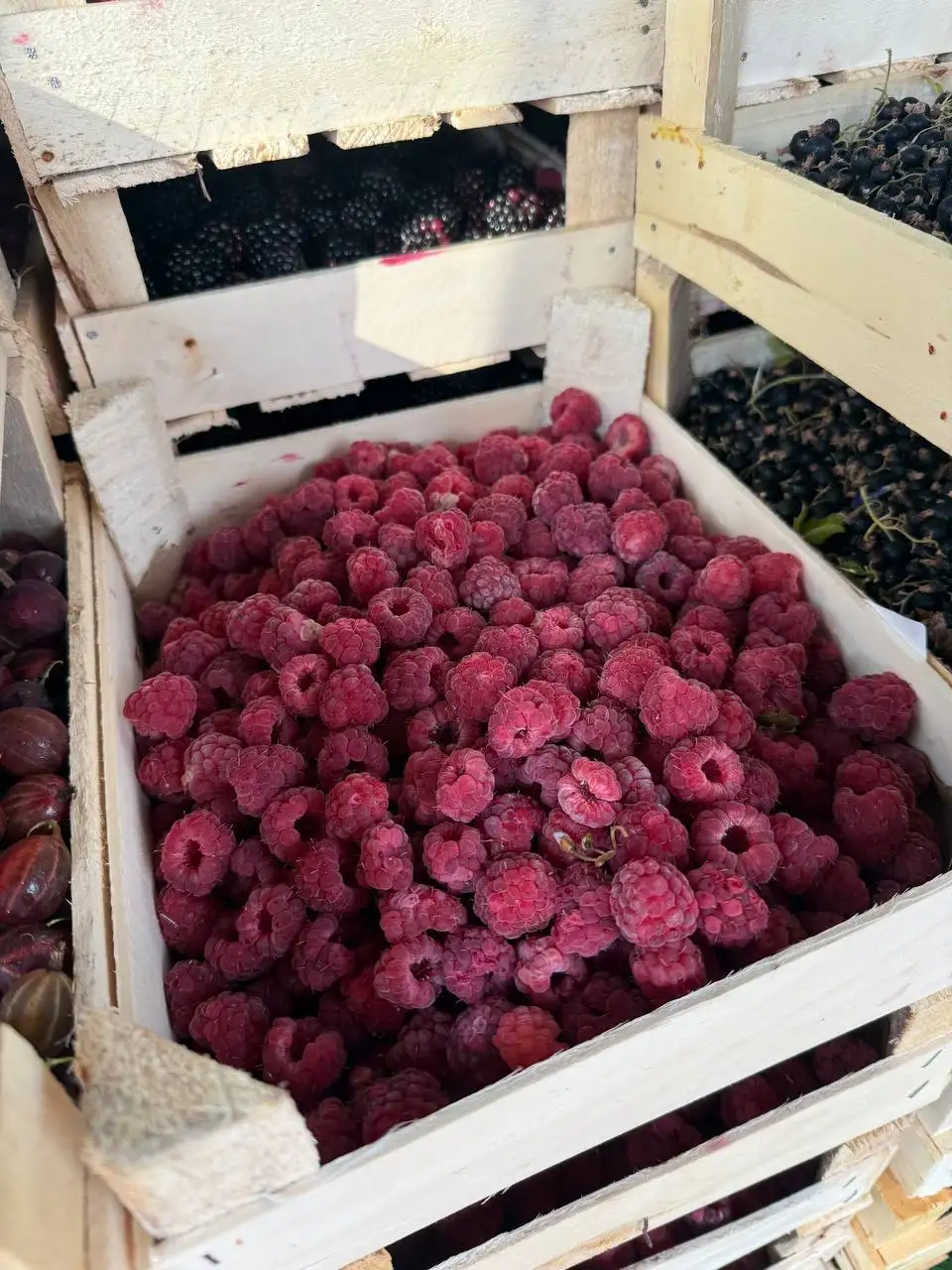 Ягоды и фрукты оптом - Продукты питания (Барахолка) в Красноярск