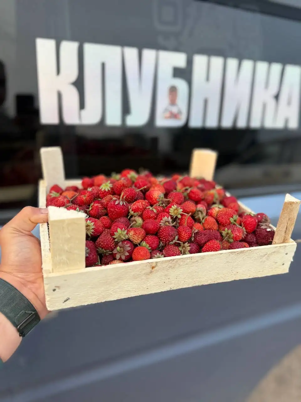 Продажа ягод: клубника Альбион и Черный принц - Продукты в Красноярск