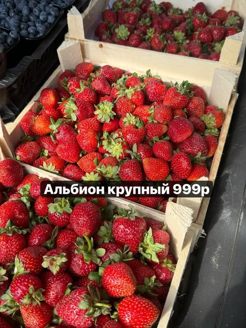 Свежая ягода: клубника, малина, ежевика, голубика, арбузы, дыни в Красноярске - Бытовая техника в Красноярск