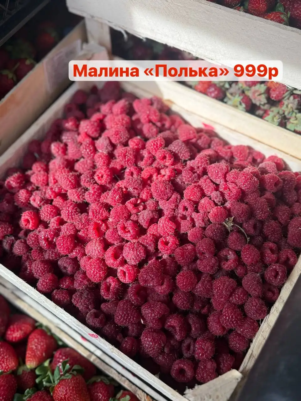 Свежая ягода: клубника, малина, ежевика, голубика, арбузы, дыни в Красноярске - Барахолка в Красноярск