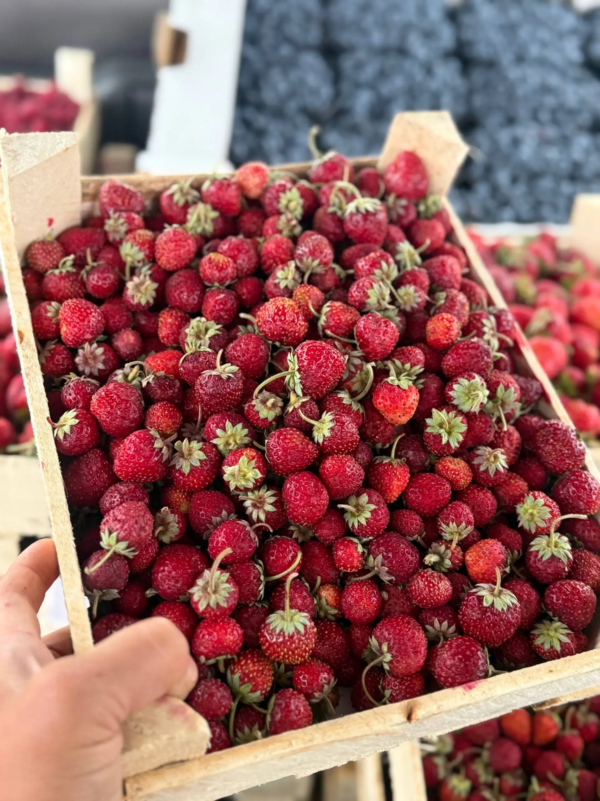 Клубника, ягоды и арбузы: свежие цены - Продукты питания (Барахолка) в Красноярск