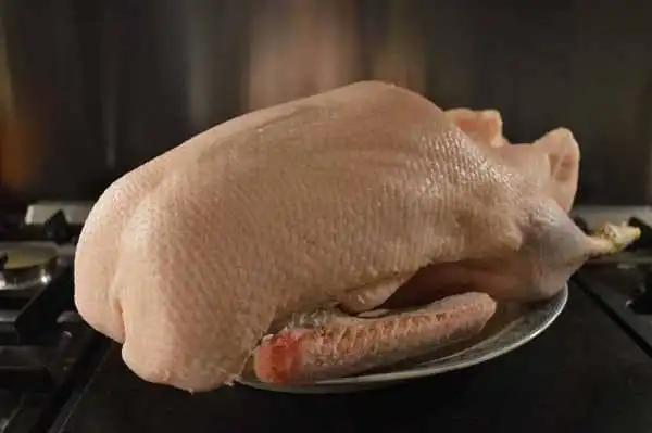 Домашняя птица и кролик на заказ