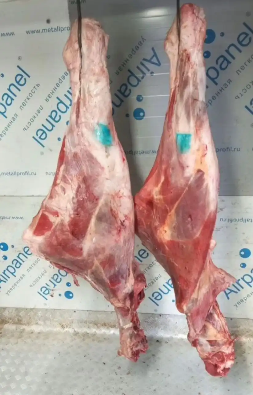 Продажа говядины с частного хозяйства в Тюмени - Барахолка в Тюмень