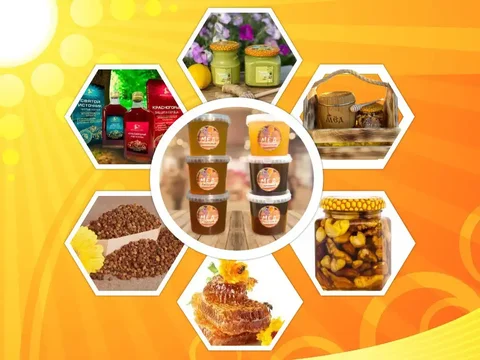 Мед Алтая: подсолнух, разнотравье, гречишный, сотовый и другие виды - Сумки в Тюмень