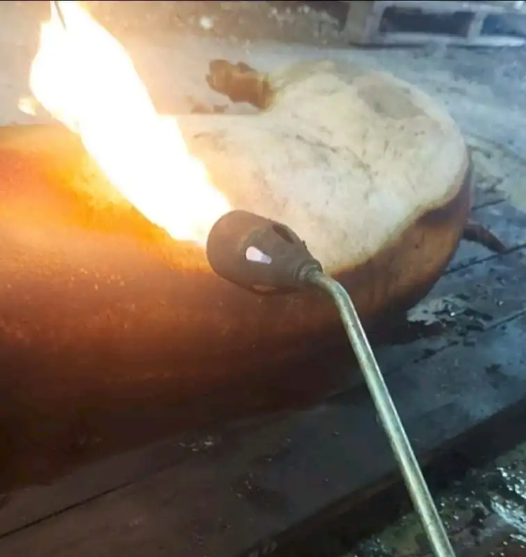 Забой домашних свиней породы Ландрас с доставкой в Тюмень - Сельскохозяйственные животные (Животные) в Тюмень