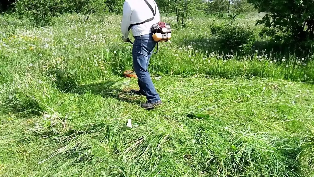 Покос травы и вывоз мусора - Услуги в Неизвестно