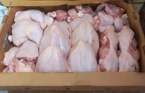 Мясо бройлера от частного хозяйства - Продукты питания в Неизвестно